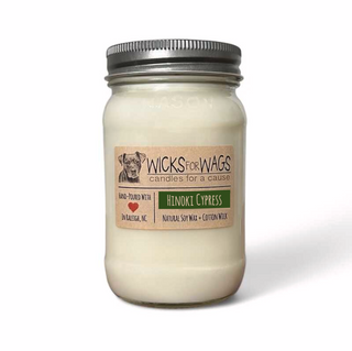 Hinoki Cypress  | Large Mason Jar