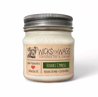 Hinoki Cypress | 8oz Mason Jar