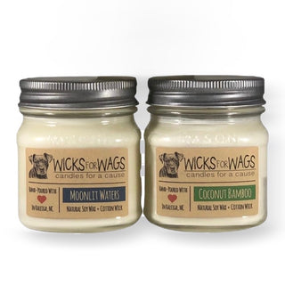 Discounted 2-Pack | 8oz Mason Jars