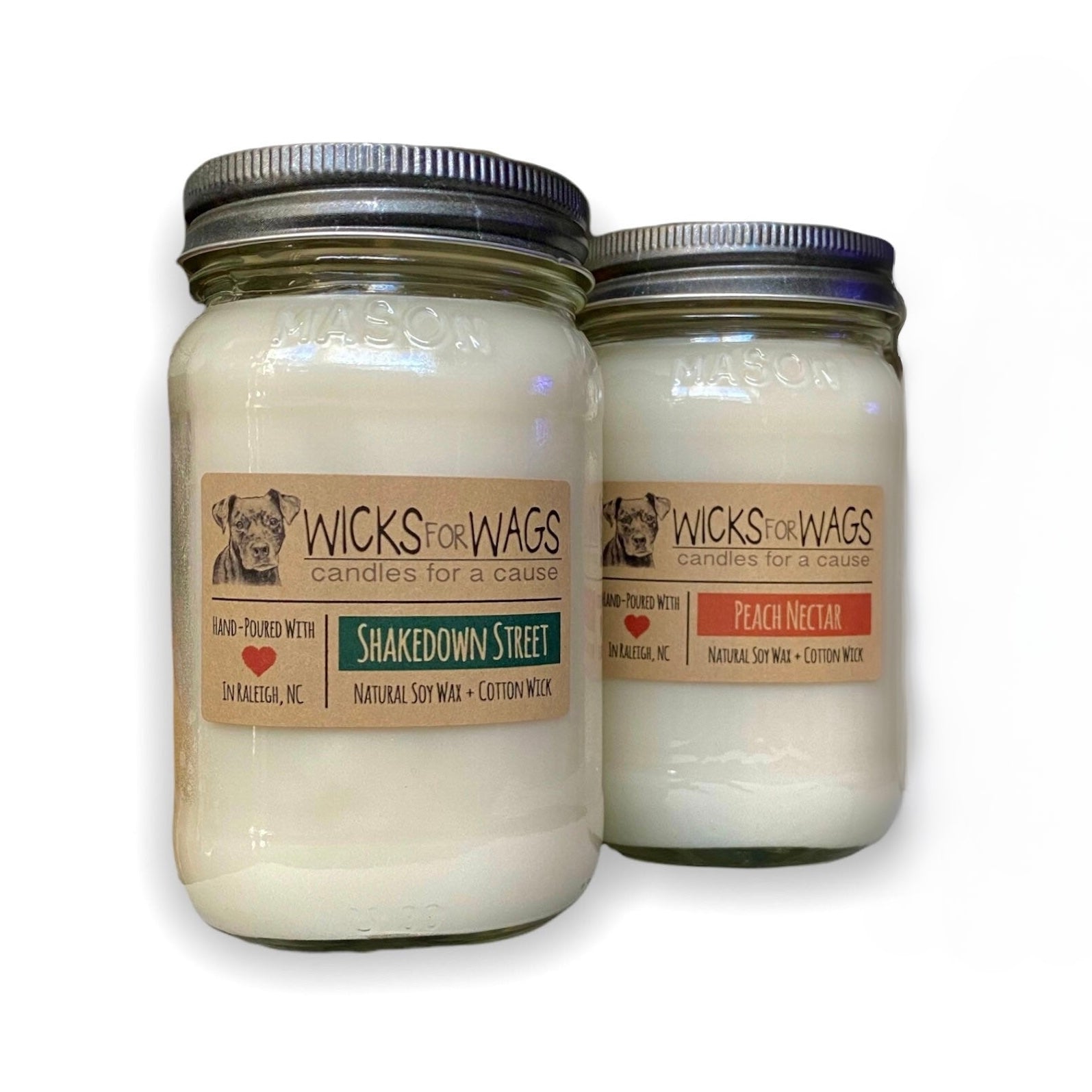 Discounted 2-Pack  Large Mason Jars – wicksforwags
