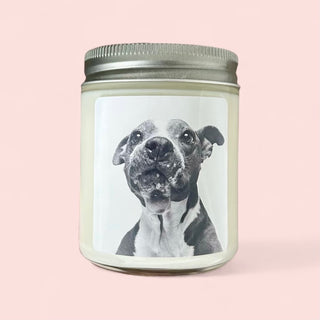 The Sheba Candle