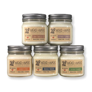 Discounted 5-Pack | 8oz Mason Jars