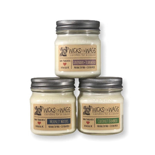 Discounted 3-Pack | 8oz Mason Jars